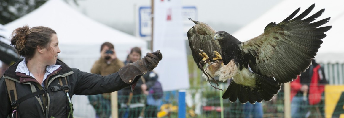 slider-2018-1-1160×400