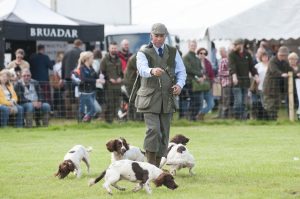 David Lisett and the Buccleuch Gundogs demonstrate in the main arena